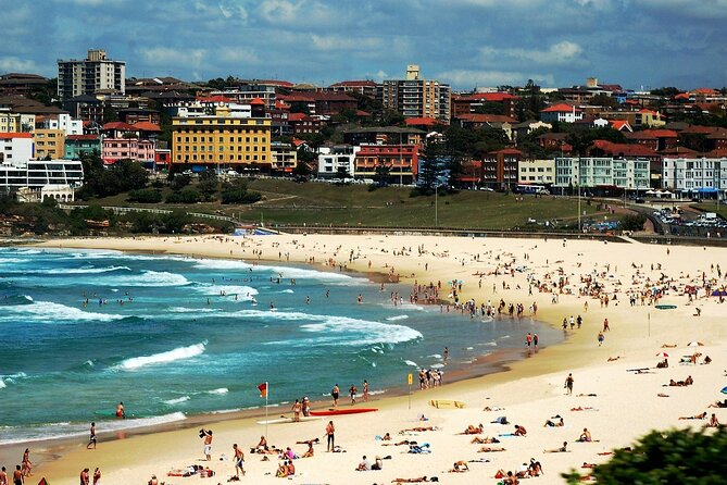 Blue Mountains | Koalas, Kangaroos & Bondi Beach Private Tour - The ride from Sydney: comfort that reduces decision fatigue
