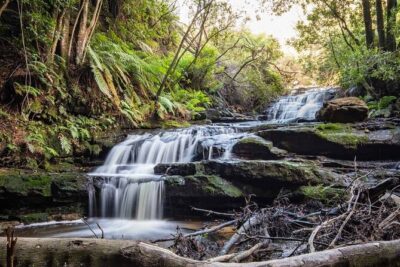 Blue Mountains Luxury Tour from Sydney - Luxury transport and door-to-door pickup that actually reduce stress