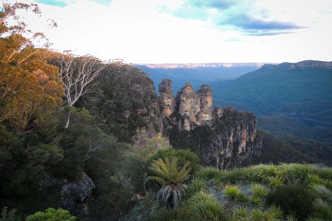 Blue Mountains Private Charter - The 8:00 AM Start: How the Long Day Works