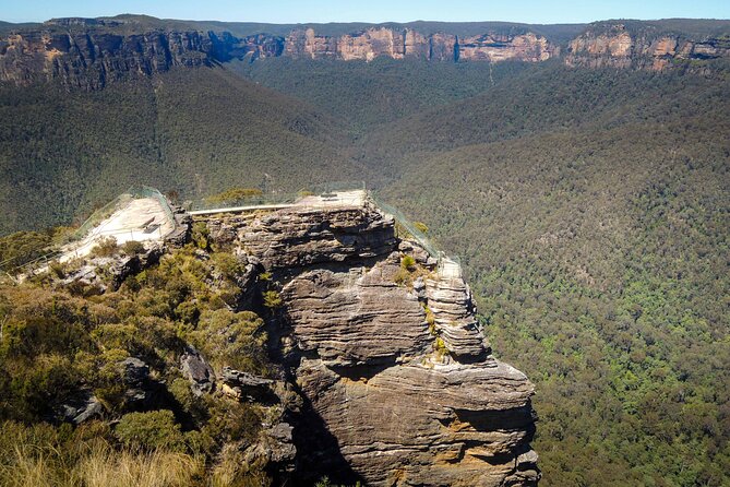 Blue Mountains Private Charter - Glenbrook National Park: Looking for Kangaroos and Koalas