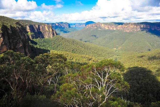 Blue Mountains Private Hiking Tour from Sydney - Megalong Valley: rural calm, rainforest drive, and wildlife odds