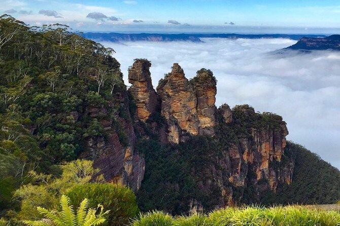 Blue Mountains Private Hiking Tour from Sydney - Dryridge Estate finish: winery time without pressure