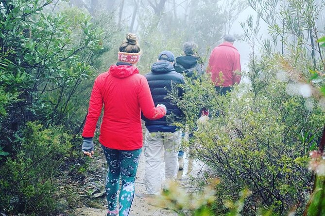 Blue Mountains Private Hiking Tour from Sydney - Price and value: what $1,195.98 covers for up to 6