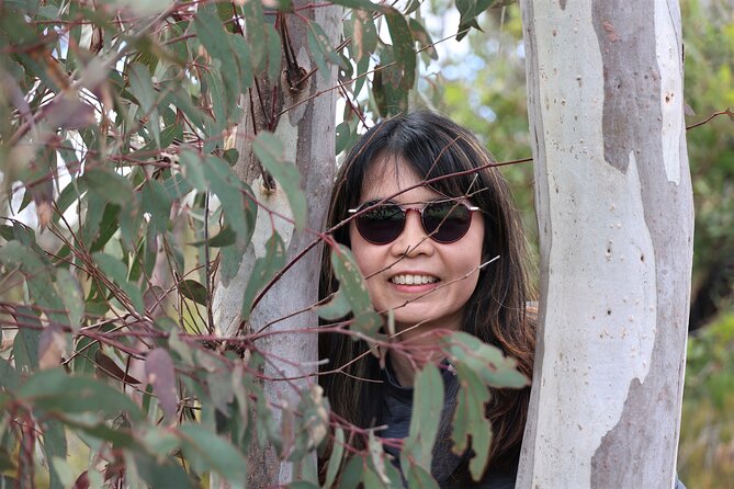 Blue Mountains Private Tour - Leura and Flexible Bushwalk Options (Without Guesswork)
