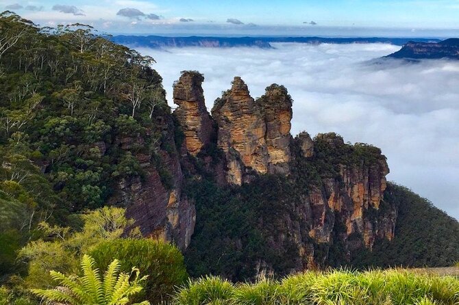 Blue Mountains Private Tour from Sydney - Key Points Worth Your Attention