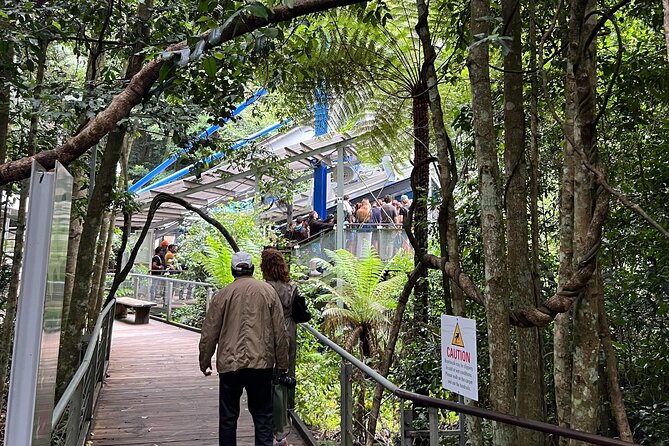 Blue Mountains Private Tour & Hidden Gems, Pick up & Drop off - Optional Featherdale vs. more lookouts: choosing your style