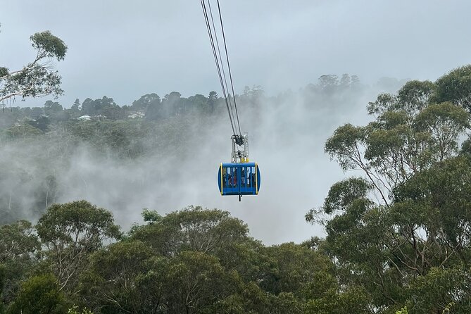Blue Mountains Private Tour & Scenic World Included - Key highlights worth planning around