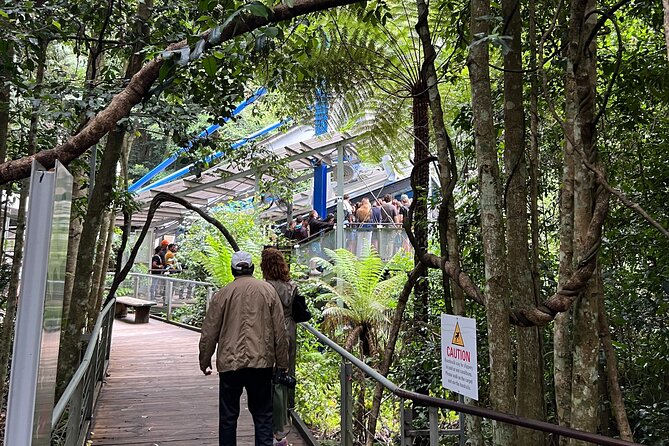 Blue Mountains Private Tour & Scenic World Included - Glenbrook foothills: a small start that sets the day’s rhythm