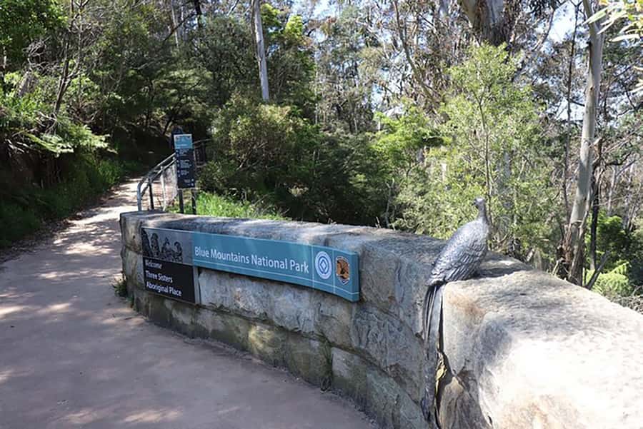 Blue Mountains: Private Tour with Wildlife and River Cruise - Katoomba Falls and Leura: Short Stops, Real Change of Pace
