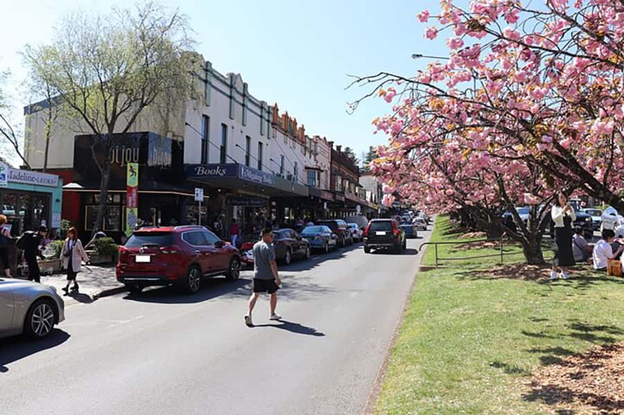 Blue Mountains: Private Tour with Wildlife and River Cruise - Value Check: What You Get in 8 Hours