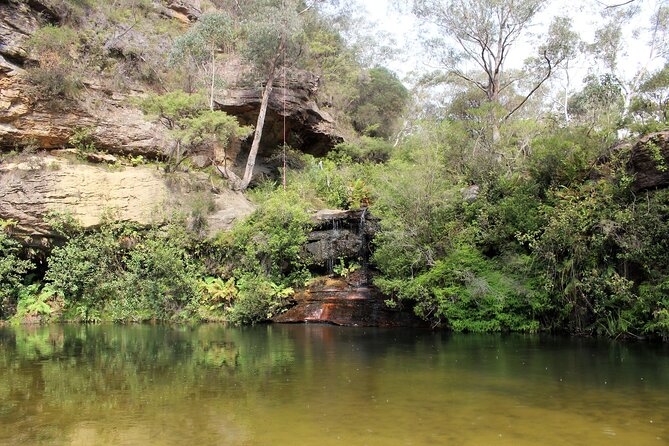 Blue Mountains Private Tour - Echo Point Lookout and the Three Sisters First Impression