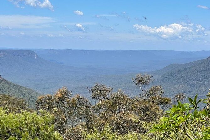Blue Mountains Small Group Tour w/optional Scenic World & Lunch - Scenic World option: steep railway, glass-floor cableway, and the Skyway loop