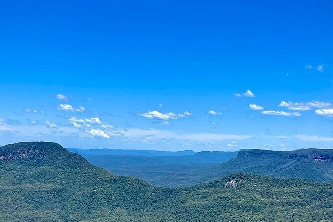 Blue Mountains Small Group Tour w/optional Scenic World & Lunch - Price and value: what $135.56 buys you, and when it feels like a steal
