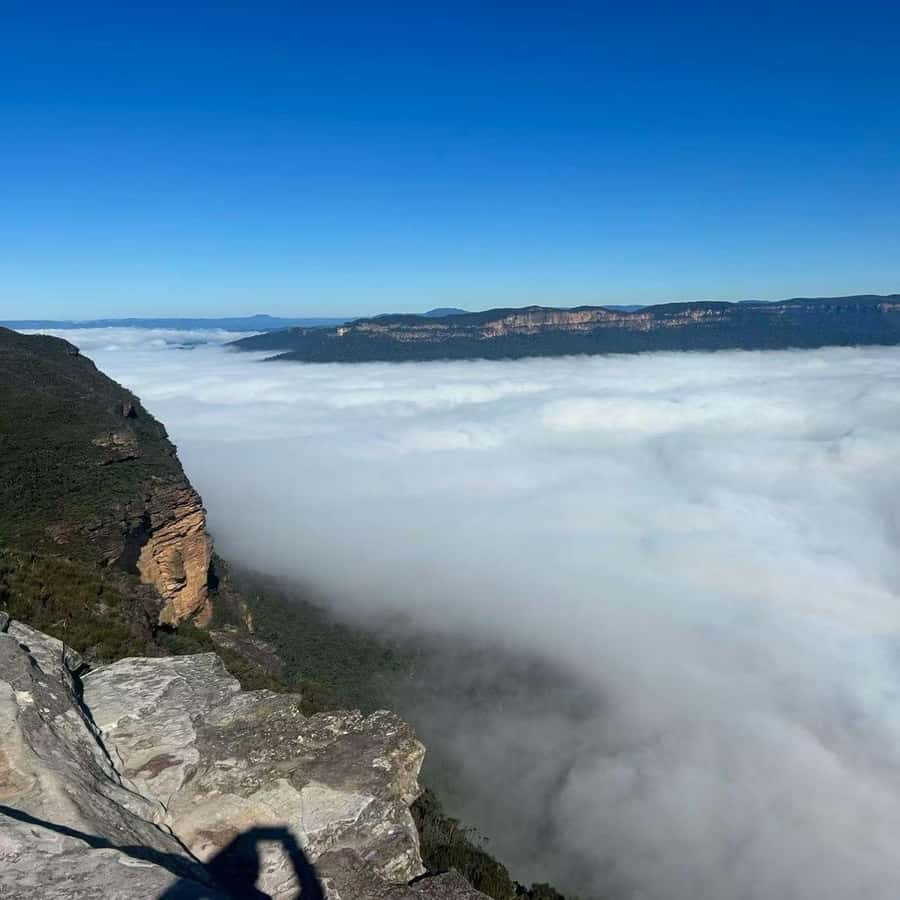 Blue Mountains Tour, Katoomba Falls & Cockatoos Small Group - Door-to-door Sydney pickup in a Mercedes Sprinter (max 14)