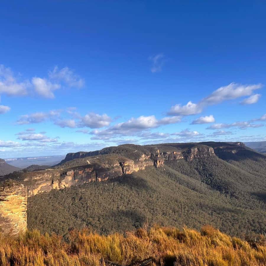 Blue Mountains Tour, Katoomba Falls & Cockatoos Small Group - Lunch in Katoomba Village, then Cahill’s Lookout and Boar’s Head Rock
