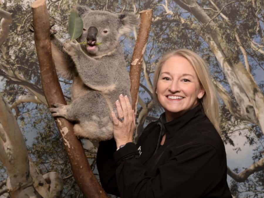 Blue Mountains Tour - Small grp, Koala, Kangaroo & Waterfall - Key things to know before you go