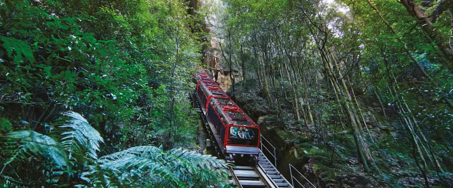 Blue Mountains Tour - Small grp, Koala, Kangaroo & Waterfall - The long day payoff: ferry ride back to Sydney