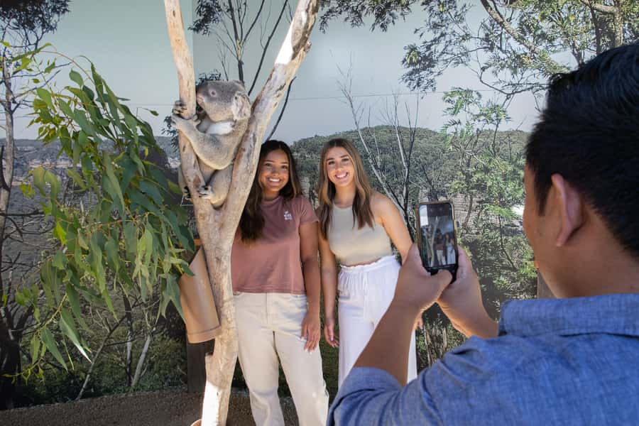 Blue Mountains Tour w/Lunch: Scenic World, Zoo & Koala Photo - Key things to know before you go