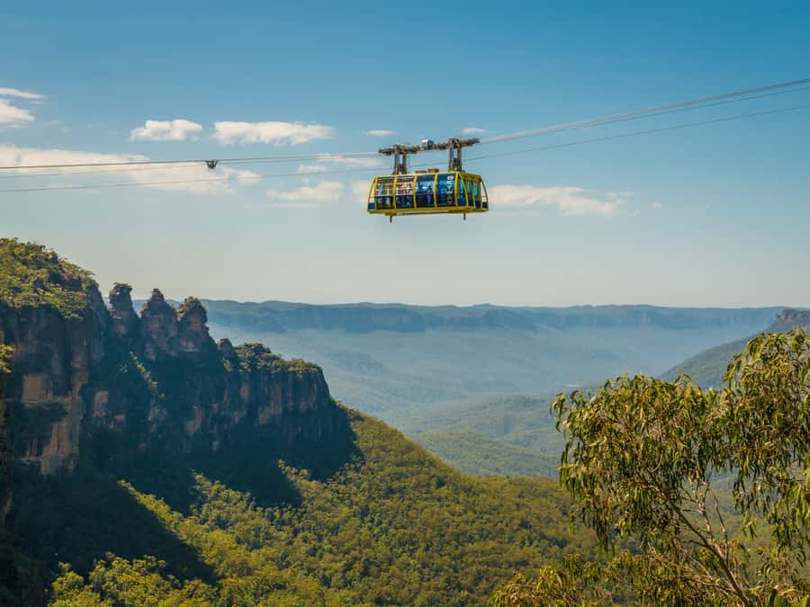 Blue Mountains Tour w/Lunch: Scenic World, Zoo & Koala Photo - Sydney Zoo for kangaroos and koalas, plus the free digital photo