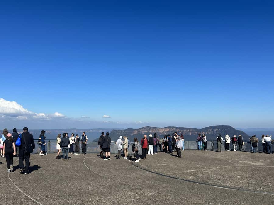 Blue Mountains Tour w/Lunch: Scenic World, Zoo & Koala Photo - Value and price: what you’re really paying for at $176