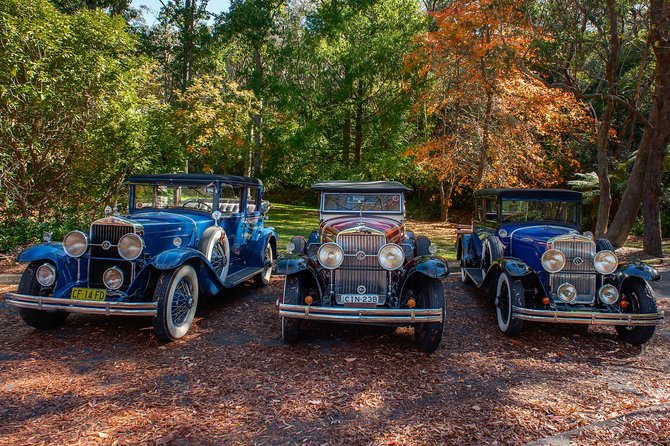 Blue Mountains Vintage Cadillac Tour with Local Guide - Stop-by-Stop: What to Expect at Each Blue Mountains Highlight