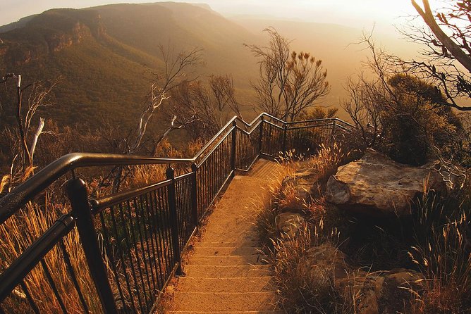 Blue Mountains Vintage Cadillac Tour with Local Guide - What Kind of Traveler Will Love This Most?