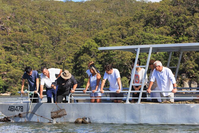 Broken Bay Pearl & Oyster Farm Tours - The guided farm visit: meeting the team and getting the story straight