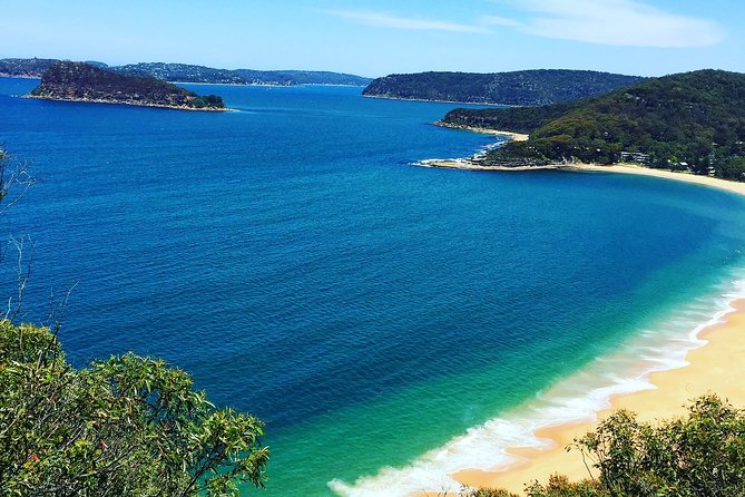 Central Coast Private Tour From Sydney, with Australian Reptile Park Option - Key highlights you’ll care about