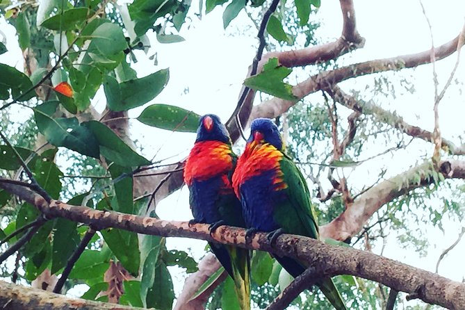 Central Coast Private Tour From Sydney, with Australian Reptile Park Option - The Wyong Milk Factory: cheese and chocolate sampling