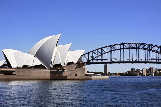 Christmas Day Cruise on Sydney Harbour - The Christmas Buffet Lunch: Seafood, Roasts, and Christmas Pudding