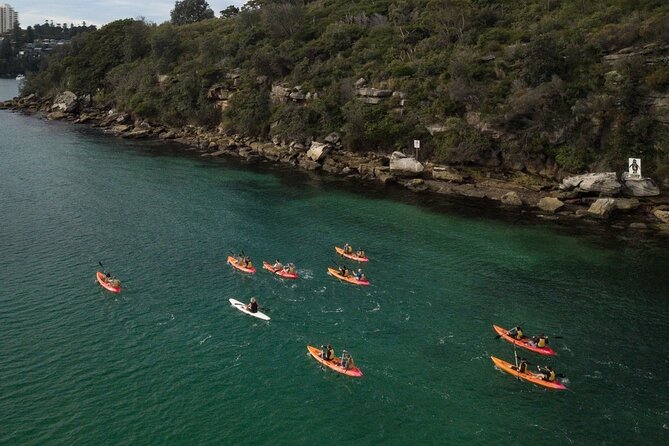 Double Kayak Hire - 4 Hours - Equipment and Comfort: Dry Bag, Safety, and What to Bring