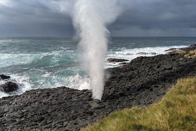 Erupting Blowholes and Ancient Rainforests SOUTH COAST OF SYDNEY PRIVATE TOUR - Key highlights