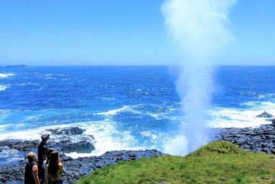 Erupting Blowholes and Ancient Rainforests SOUTH COAST OF SYDNEY PRIVATE TOUR - Ben Barry and the value of a guide who can adjust