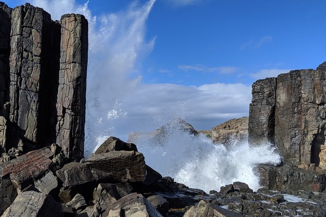 Erupting Blowholes and Ancient Rainforests SOUTH COAST OF SYDNEY PRIVATE TOUR - Austinmer Beach and Killalea: beach breaks and a quick surf vibe