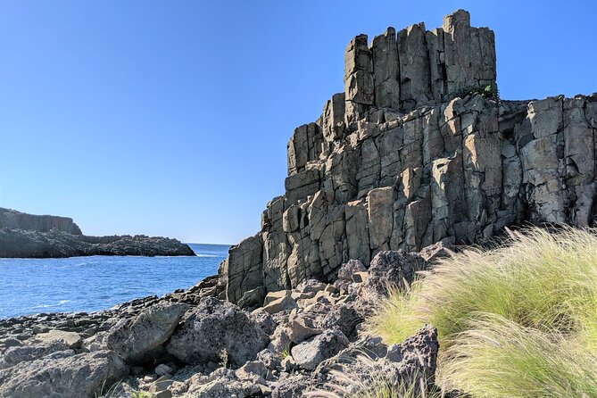 Erupting Blowholes and Ancient Rainforests SOUTH COAST OF SYDNEY PRIVATE TOUR - Bombo Beach quarry pillars: the geology stop that steals the show