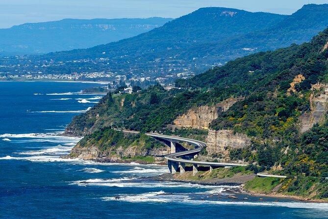 Escape Sydney: Sea Cliff Bridge, Wildlife, Kiama Coast Private - Key things to know before you go