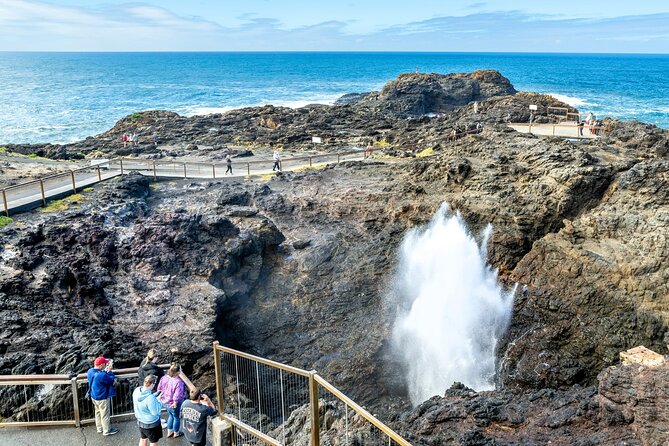Escape Sydney: Sea Cliff Bridge, Wildlife, Kiama Coast Private - Why the Kiama coast feels like a fresh world from Sydney