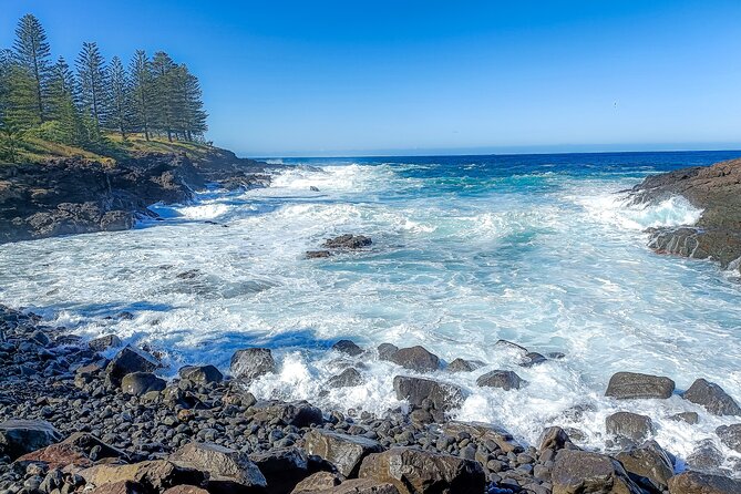 Escape Sydney: Sea Cliff Bridge, Wildlife, Kiama Coast Private - Jamberoo and Thirroul: farm country meets beach culture