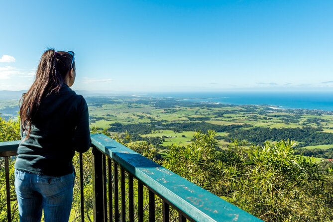 Escape Sydney: Sea Cliff Bridge, Wildlife, Kiama Coast Private - Aboriginal engravings and the guide’s local storytelling