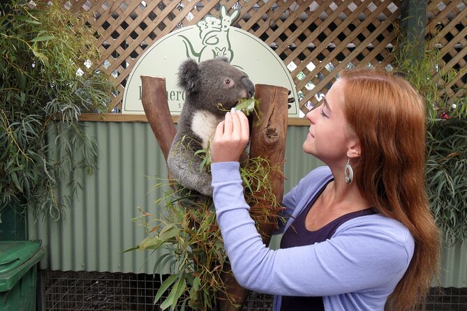 Featherdale Wildlife Park with Exclusive Private Transfers - Price and value: is €207.15 per person actually worth it?