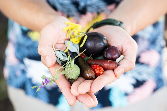 Foraging Tour: Botanical Gardens Walk & Picnic - The native-inspired picnic at Mrs Macquarie’s Chair
