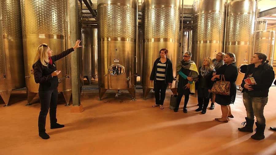 From Sydney: Award-Winning Hunter Valley Wine & Cheese Tour - Key things I’d focus on