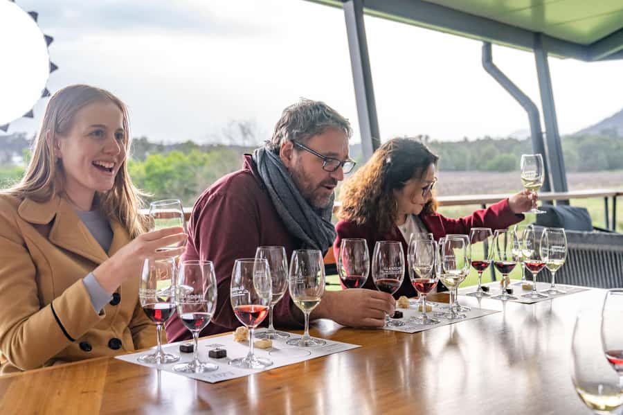 From Sydney: Award-Winning Hunter Valley Wine & Cheese Tour - Boutique wineries, a tasting plan that makes sense
