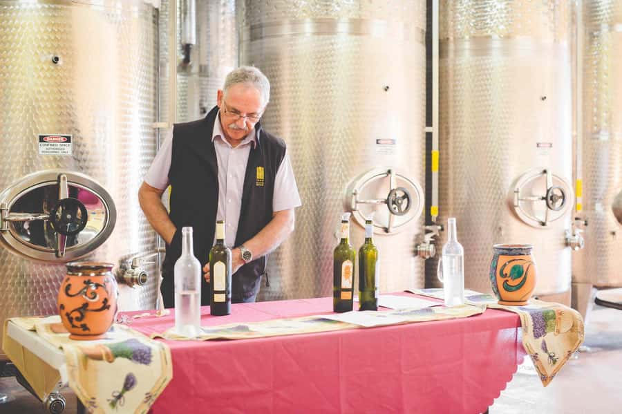 From Sydney: Award-Winning Hunter Valley Wine & Cheese Tour - Leaving Sydney: pickups, the drive north, and how to be prepared