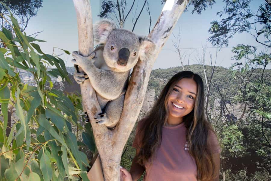 From Sydney: Blue Mountains Day Tour & Hop-on, Hop-off Tour - Key highlights worth your attention
