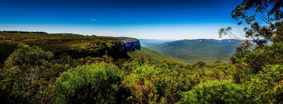 From Sydney: Blue Mountains Small-Group Tour Picnic & Hike - Why this Blue Mountains tour feels like real value