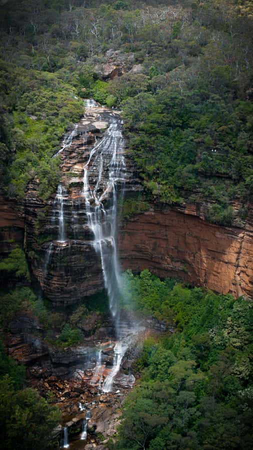 From Sydney: Blue Mountains, Sydney Zoo & Walking Tour - Leura lunch and shopping break: a real break from the bus
