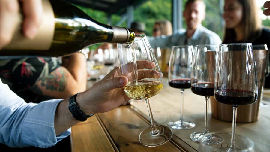 From Sydney: Full-Day Hunter Valley Tour w/ Tastings & Lunch - Winery Stop #1: the first tasting sets the tone