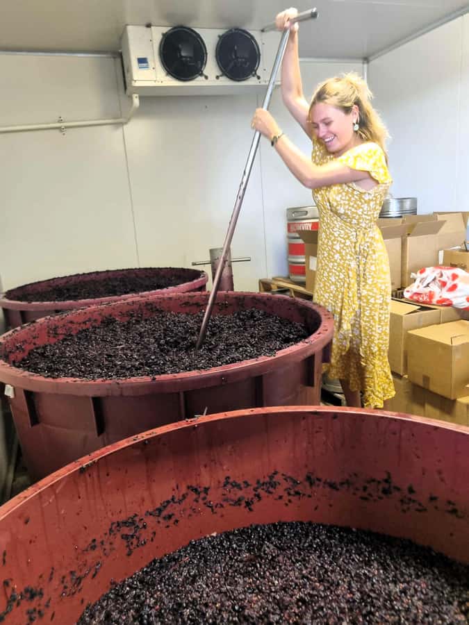 From Sydney: Hunter Valley Beer & Wine Group Tour - Key things to know before you go