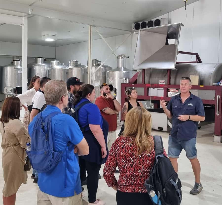 From Sydney: Hunter Valley Beer & Wine Group Tour - Your first vineyard and winery stop: learning without feeling lectured